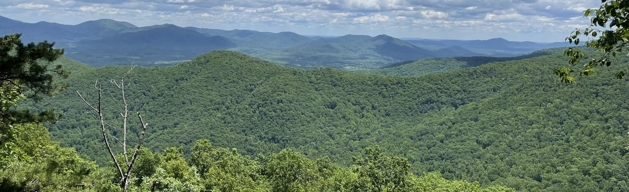 Dobie Mountain via Appalachian Trail Virginia AllTrails