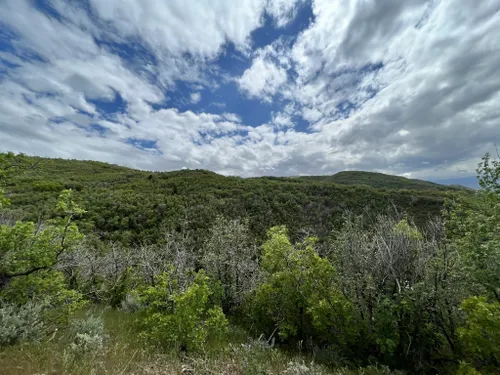 corner canyon mountain bike trails