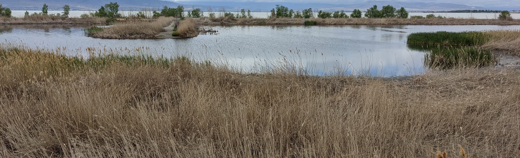 Utah Lake Shoreline Trail 78 foto Utah AllTrails