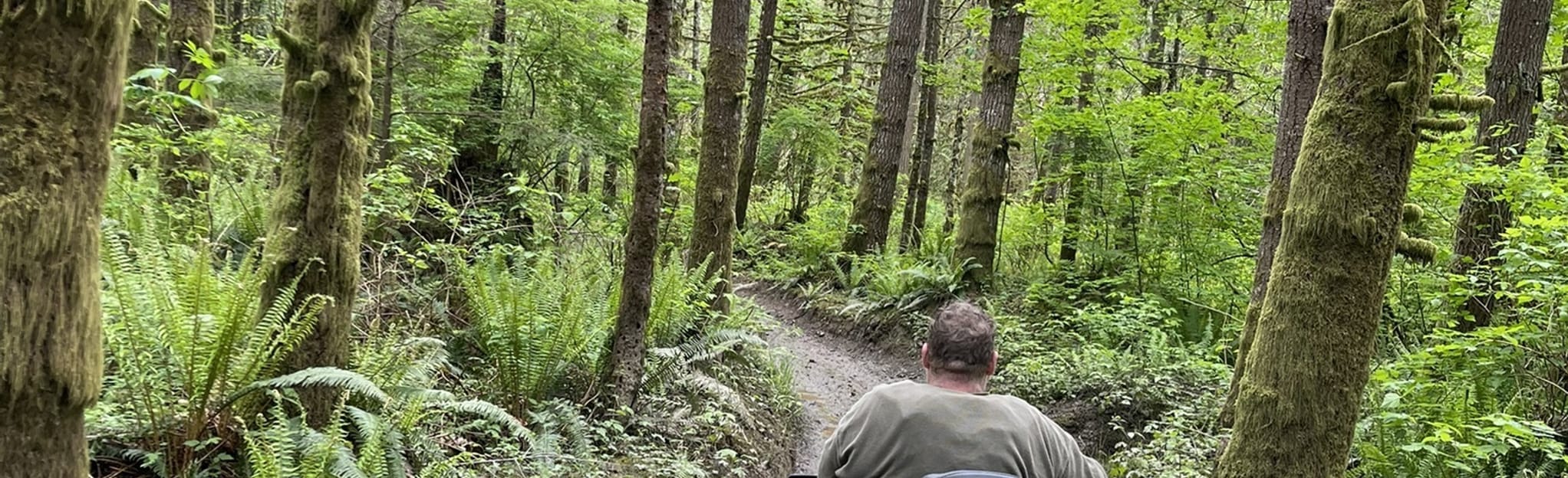 Walker Valley OHV Trail, Washington 66 Reviews, Map AllTrails