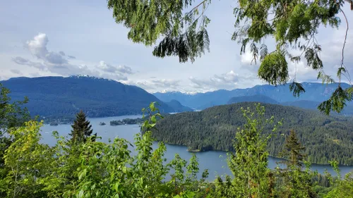 10 Best Hikes And Trails In Burnaby Mountain Conservation Area | AllTrails