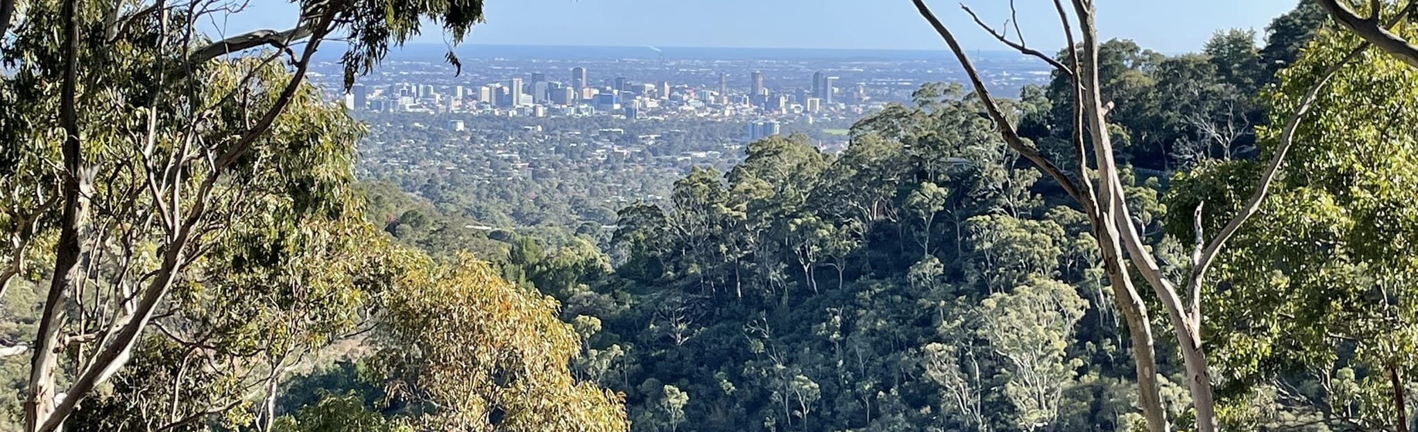 Waite Conservation Reserve, South Australia, Australia 13 Reviews