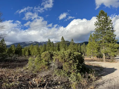 10 Best Trails and Hikes in Mount Shasta | AllTrails