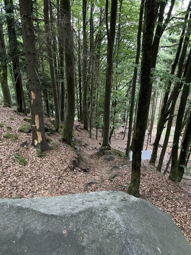 Aus Daxstein auf den Brotjacklriegel