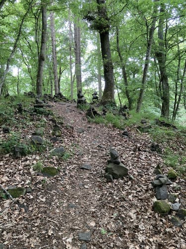 Hochbermeler (Traumpfad)