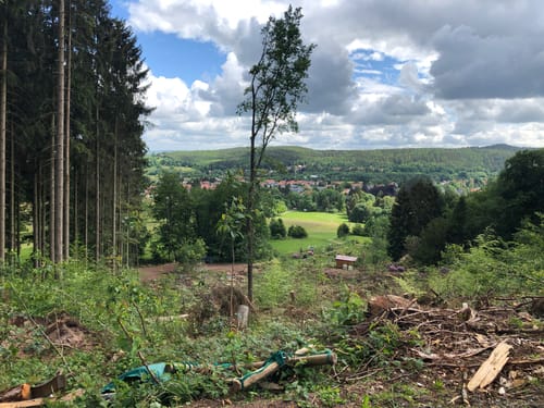 Lauchagrund Rundweg über den Panoramarundweg