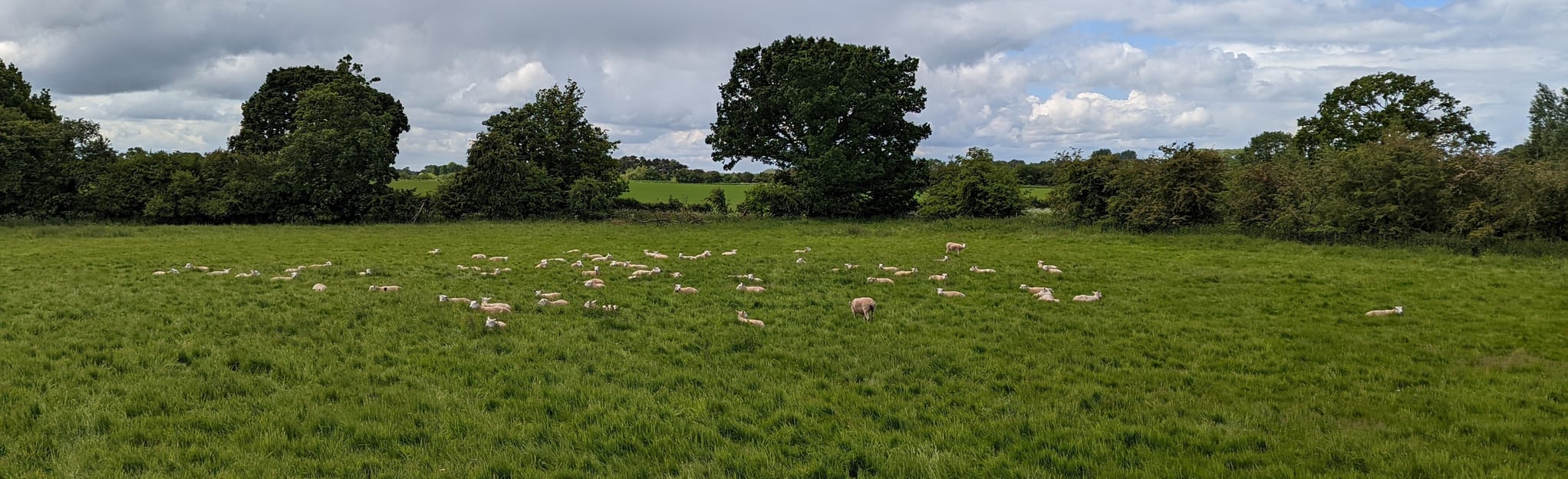 Tockwith and the River Nidd Circular: 99 foto's - West Yorkshire ...