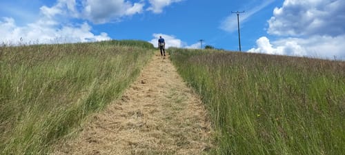 Premiumwanderweg: Traumschleife Stumm-Eisenhüttenweg