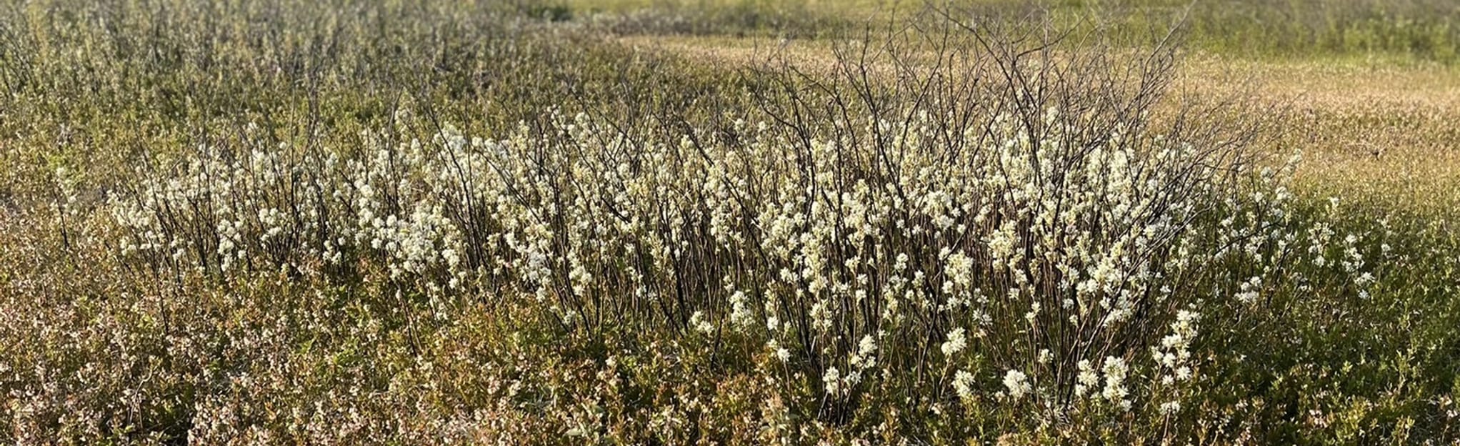 AllTrails Crystal Spring Farm Trails from Main Parking Area 113