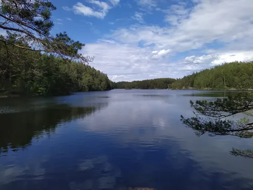 Best Beach Trails In Svartedalen Nature Reserve | AllTrails