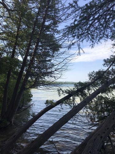 Best Hikes and Trails in Teichner Preserve | AllTrails