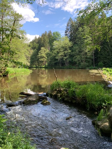 Goldsteig Südroute Etappe 6: Leuchtenberg - Tännesberg