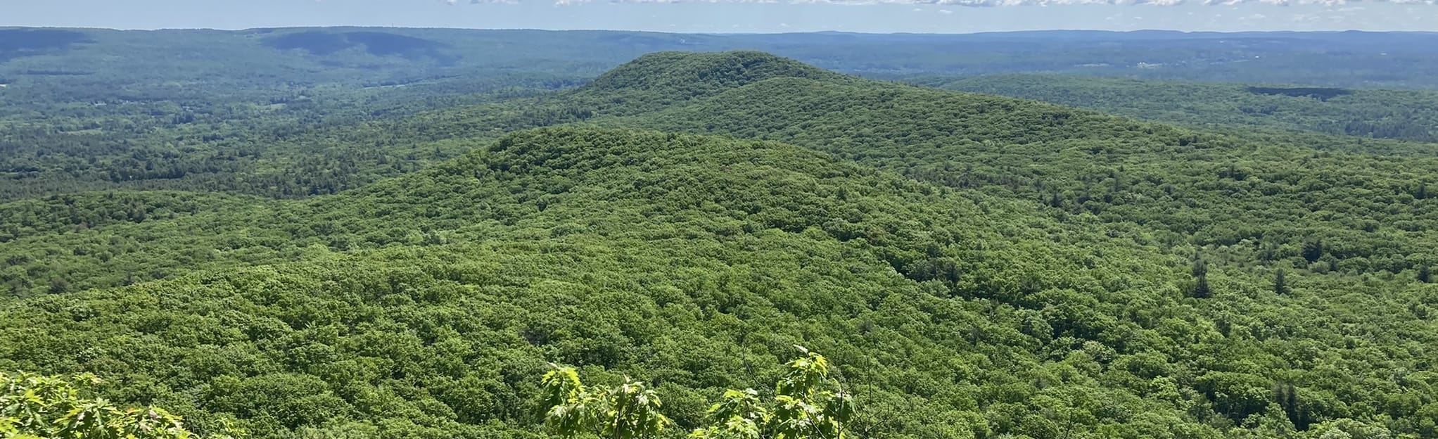 Rattlesnake Knob via M and M Trail (White) Massachusetts AllTrails