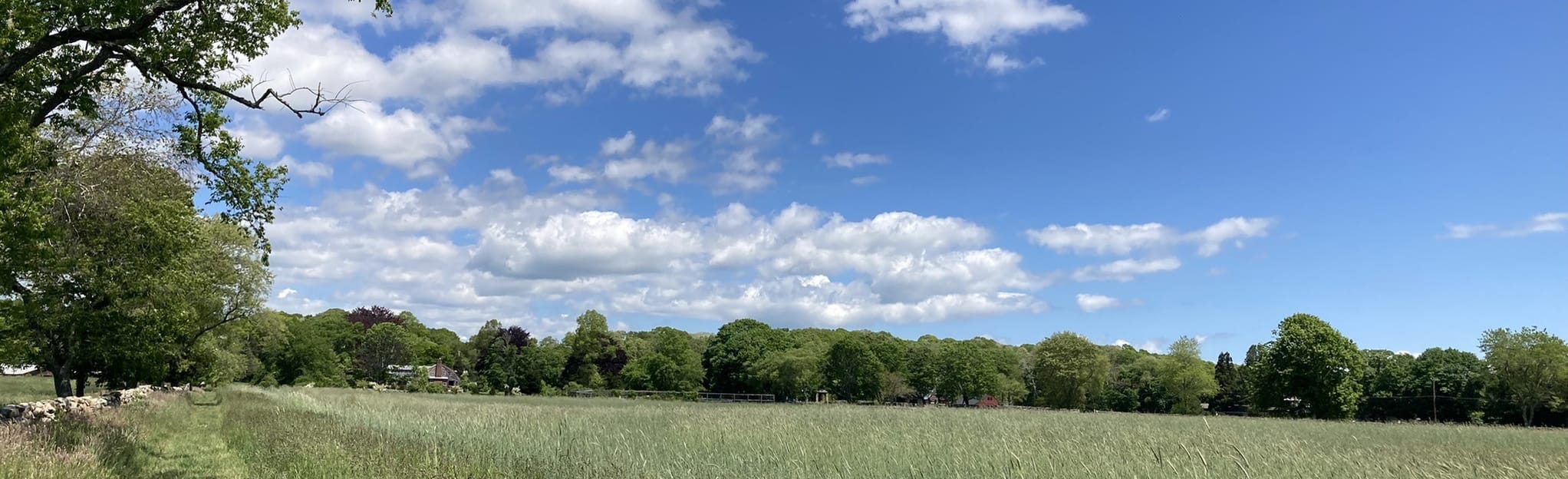 Weeden Farm Trail, Rhode Island 21 Reviews, Map AllTrails