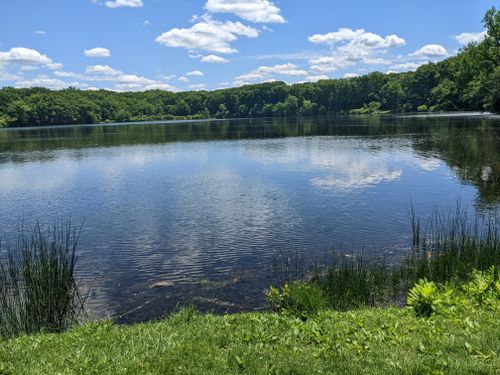 Best Hikes and Trails in Shrewsbury | AllTrails