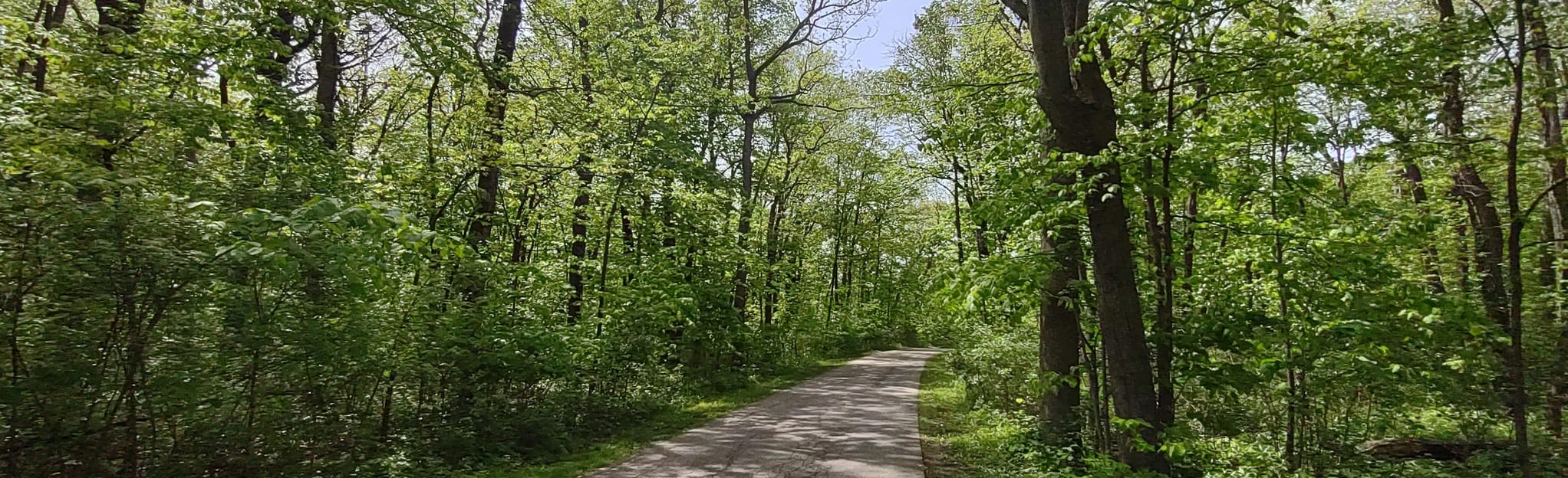 Sanders Park Hardwood Trail 58 Reviews, Map Wisconsin AllTrails