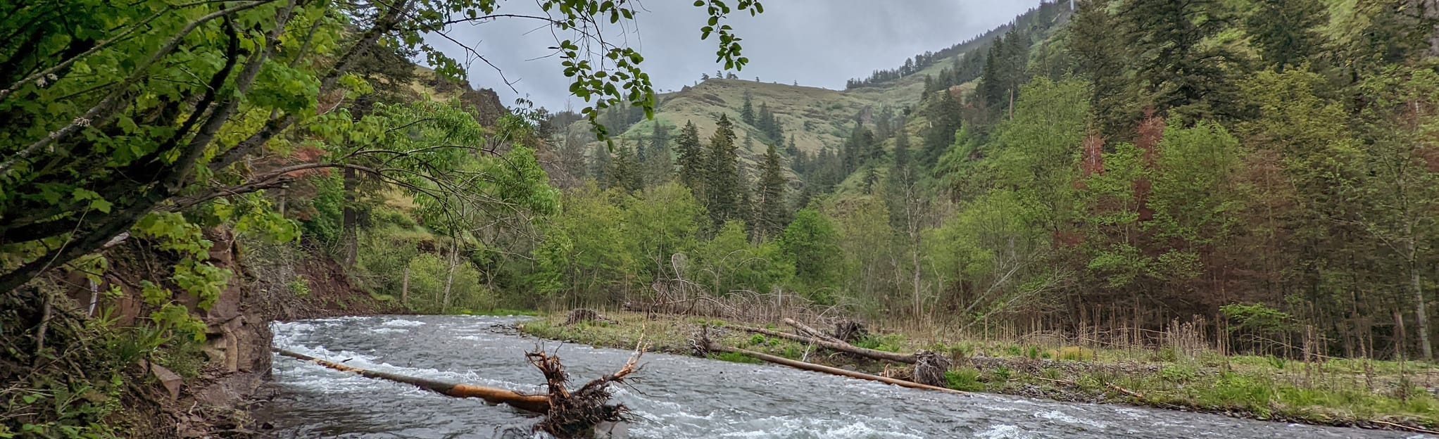 Harris Park OHV Loop 4 Reviews, Map Oregon AllTrails