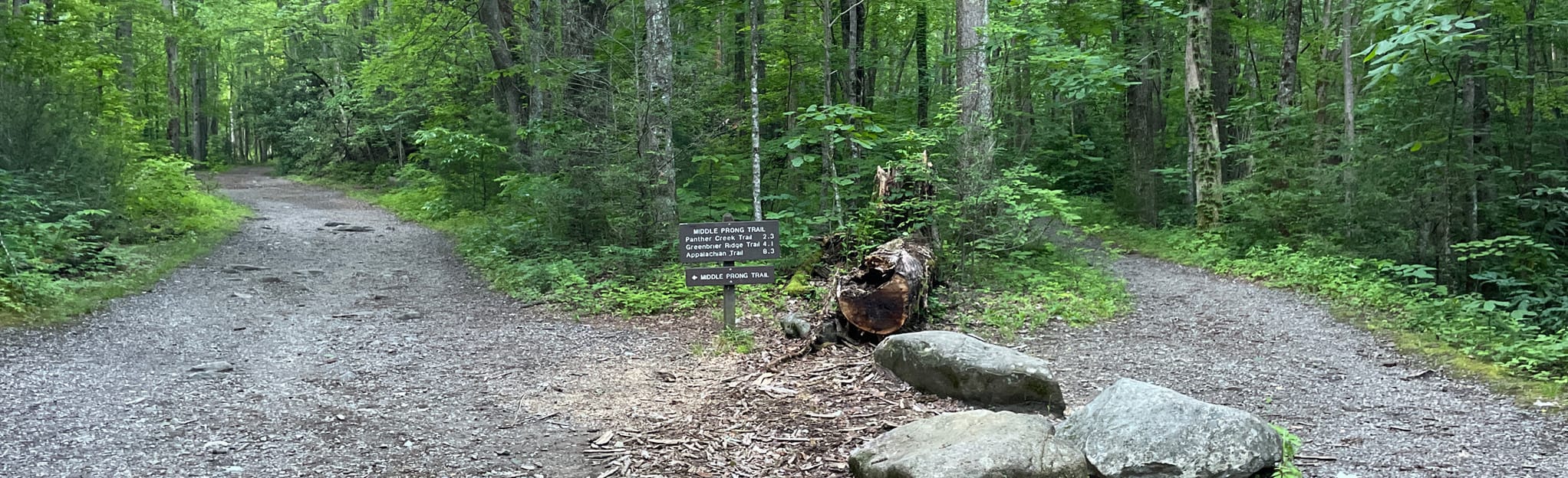 AllTrails Thunderhead Prong Quiet Walkway 149 Reviews, Map Tennessee