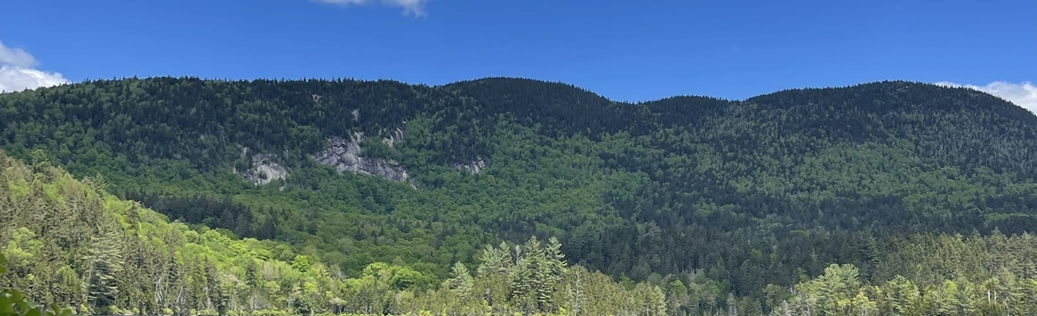 Sawyer River Trail Loop 9 Reviews, Map New Hampshire AllTrails