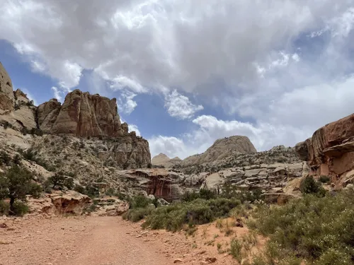 Alltrails 2025 capitol reef