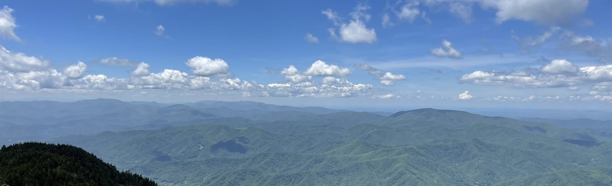 Cloudland Trail to Roan High Bluff, North Carolina 301 Reviews, Map