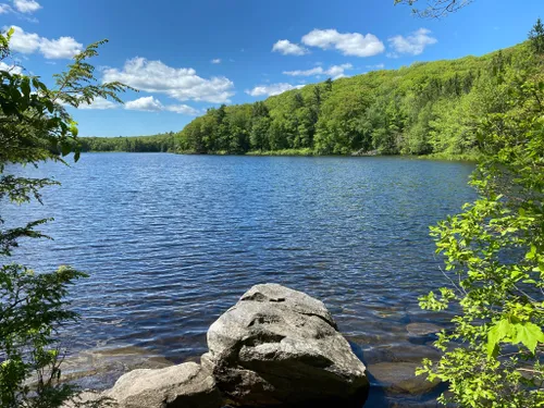 10 Best Trails and Hikes in Great Barrington | AllTrails