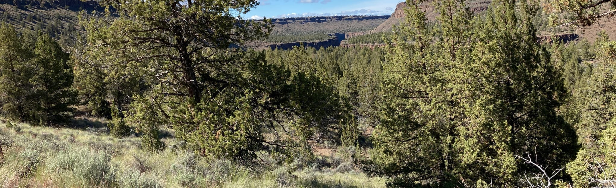 Crooked River via Otter Bench and Pink Trail 245 Reviews, Map Oregon AllTrails