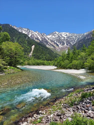 Nagano Lean Body Tonic