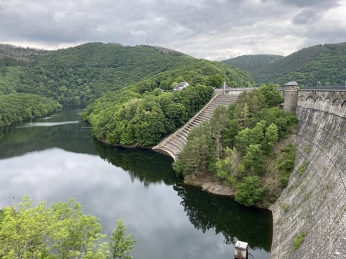 Bird Watching Runde: Von Vogelsang über die Urftseebrücke