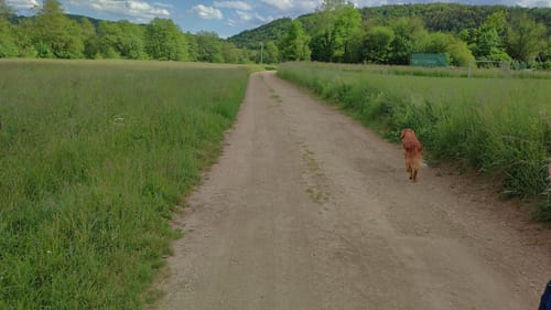 Burgensteigrunde bei Kallmünz