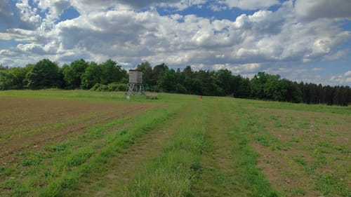 Burgensteigrunde bei Kallmünz