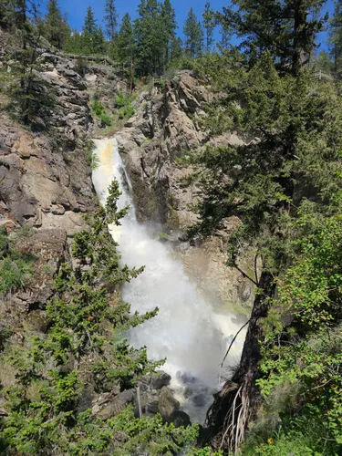 Best Hikes and Trails in Fintry Provincial Park | AllTrails
