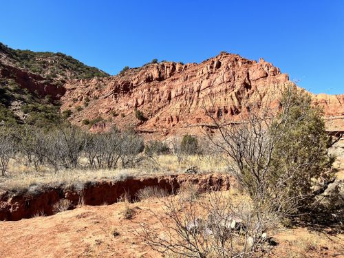 se permiten perros en el parque estatal caprock canyon