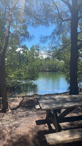 oleta river state park cabins