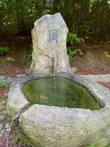 Burgenweg Oberpfalz Etappe 7: Tännesberg - Oberviechtach