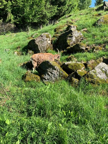 Burgenweg Oberpfalz Etappe 7: Tännesberg - Oberviechtach