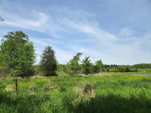 Best 10 Hikes and Trails in Kettle - EyJidWNrZXQiOiJhc3NldHMuYWxsdHJhaWxzLmNvbSIsImtleSI6InVwbG9hZHMvcGhvdG8vaW1hZ2UvNDc3ODcyMzMvMzkzZjdjZTM2NTQyN2M0NmIzYmY4ZTNiZTUzYjhhNzAuanBnIiwiZWRpdHMiOnsidG9Gb3JtYXQiOiJqcGVnIiwicmVzaXplIjp7IndpZHRoIjo1MDAsImhlaWdodCI6NTAwLCJmaXQiOiJpbnNpZGUifSwicm90YXRlIjpudWxsLCJqcGVnIjp7InRyZWxsaXNRdWFudGlzYXRpb24iOnRydWUsIm92ZXJzaG9vdERlcmluZ2luZyI6dHJ1ZSwib3B0aW1pc2VTY2FucyI6dHJ1ZSwicXVhbnRpc2F0aW9uVGFibGUiOjN9fX0=