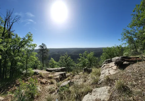 10 Best Trails and Hikes in Heber-Overgaard | AllTrails