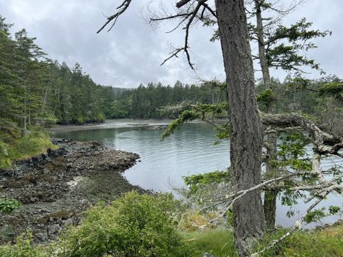 2023 Best 10 Trails and Hikes in Saltspring Island Trust Area | AllTrails