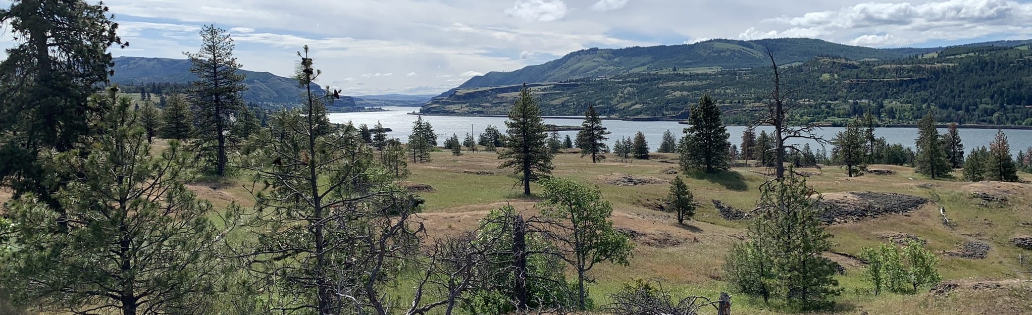 Catherine Creek Arch Loop 878 - EyJidWNrZXQiOiJhc3NldHMuYWxsdHJhaWxzLmNvbSIsImtleSI6InVwbG9hZHMvcGhvdG8vaW1hZ2UvNDc3OTkxMjIvMWE3ZTRiZTdhZDU3MGRkYjQ1ODdmYjQ1MzYxZmZiZDkuanBnIiwiZWRpdHMiOnsidG9Gb3JtYXQiOiJqcGVnIiwicmVzaXplIjp7IndpZHRoIjoyMDQ0LCJoZWlnaHQiOjYyNCwiZml0IjoiY292ZXIifSwicm90YXRlIjpudWxsLCJqcGVnIjp7InRyZWxsaXNRdWFudGlzYXRpb24iOnRydWUsIm92ZXJzaG9vdERlcmluZ2luZyI6dHJ1ZSwib3B0aW1pc2VTY2FucyI6dHJ1ZSwicXVhbnRpc2F0aW9uVGFibGUiOjN9fX0=