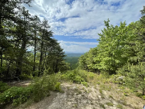Best Hikes and Trails in Basye | AllTrails