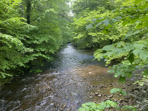 10 Best Hikes and Trails in Ricketts - EyJidWNrZXQiOiJhc3NldHMuYWxsdHJhaWxzLmNvbSIsImtleSI6InVwbG9hZHMvcGhvdG8vaW1hZ2UvNDc4MDE5NjMvOWRhNGJmODZlYjRlOGU0MDI4ZTg0NmU4MjViYjliNDAuanBnIiwiZWRpdHMiOnsidG9Gb3JtYXQiOiJ3ZWJwIiwicmVzaXplIjp7IndpZHRoIjo1MDAsImhlaWdodCI6NTAwLCJmaXQiOiJpbnNpZGUifSwicm90YXRlIjpudWxsLCJqcGVnIjp7InRyZWxsaXNRdWFudGlzYXRpb24iOnRydWUsIm92ZXJzaG9vdERlcmluZ2luZyI6dHJ1ZSwib3B0aW1pc2VTY2FucyI6dHJ1ZSwicXVhbnRpc2F0aW9uVGFibGUiOjN9fX0=