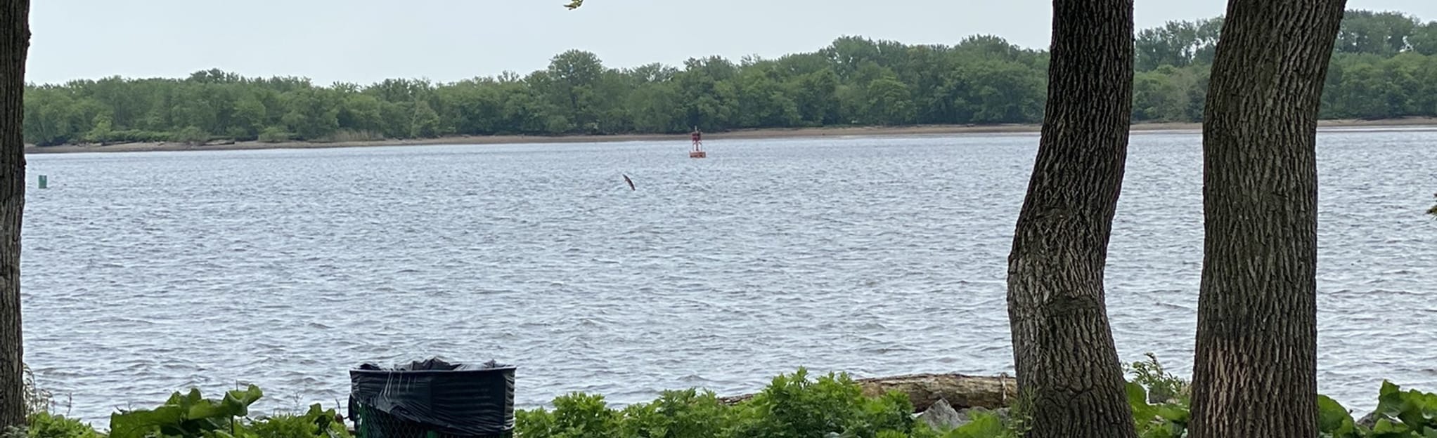 Pleasant Hill Park, Pennsylvania 12 Reviews, Map AllTrails