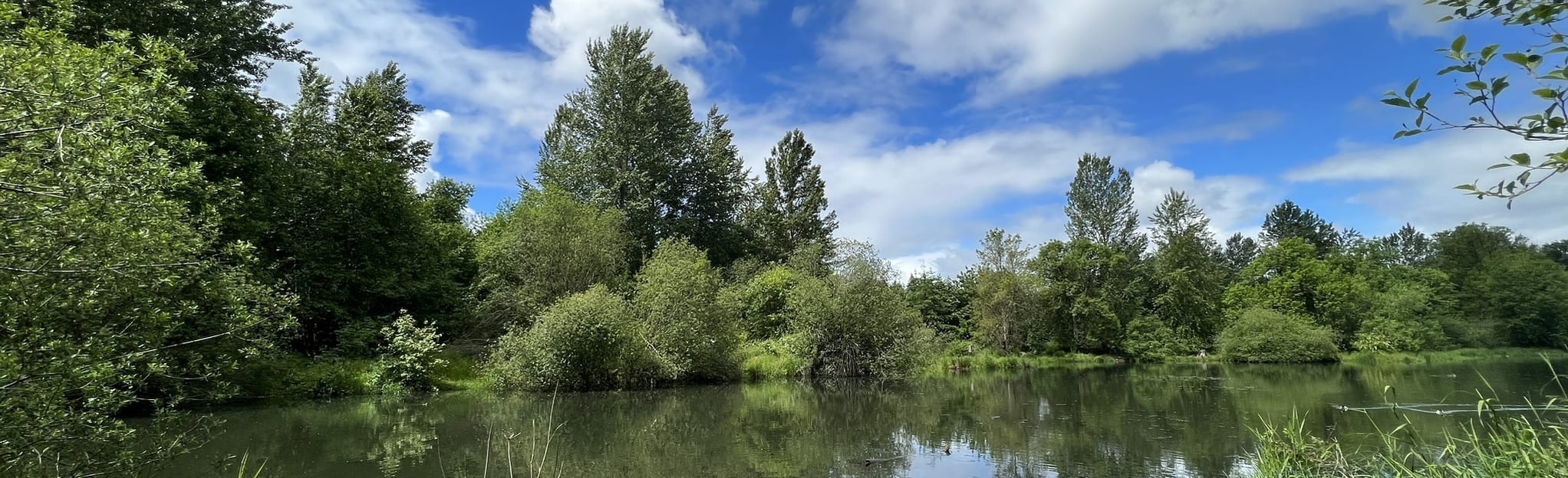 Salmon Creek Trail and Greenway Loop Washington AllTrails