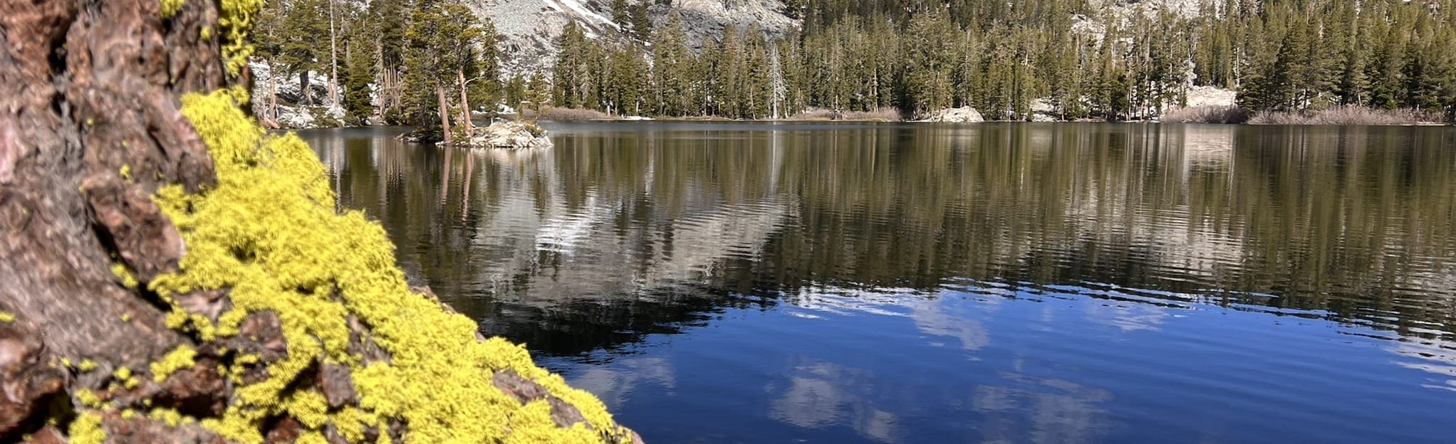 Ralston Lake via Pacific Crest Trail 3.249 foto's Californië