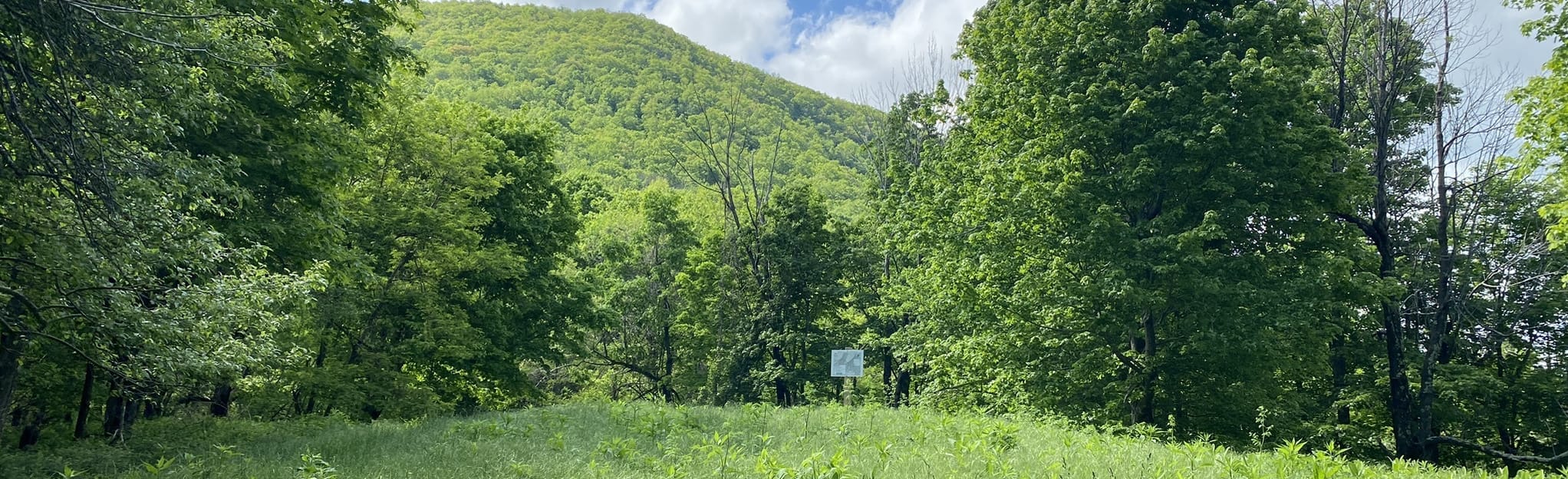 House Mountain Trail 361 Reviews, Map Virginia AllTrails