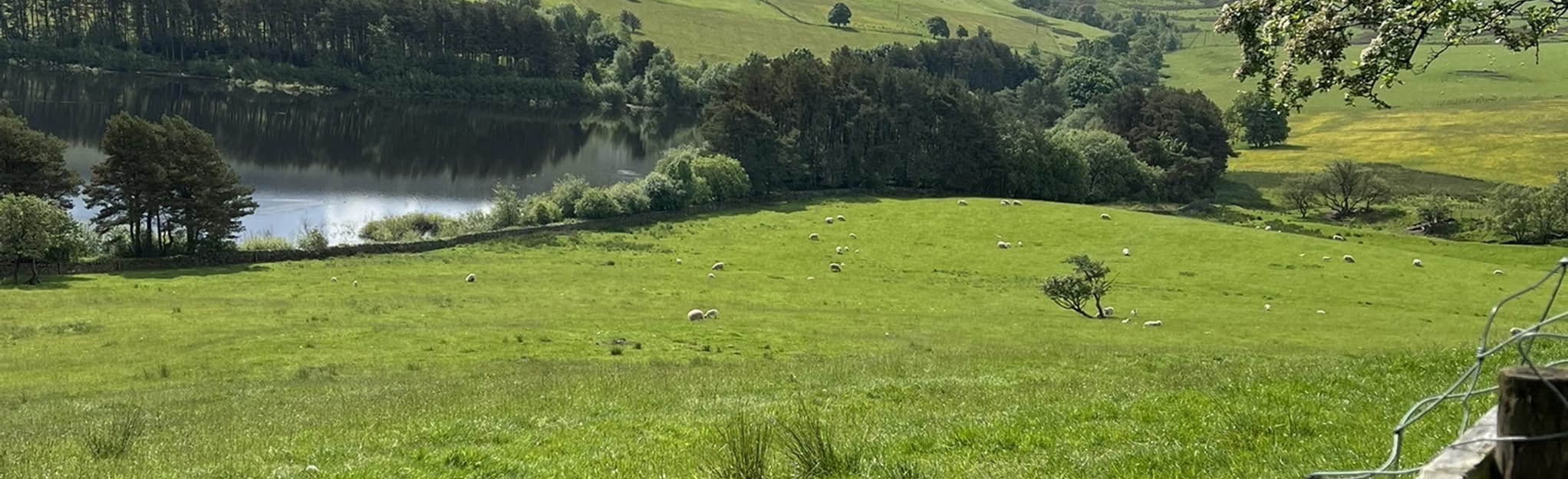 Roddlesworth Reservoirs and Darwen Hill Loop Lancashire, England