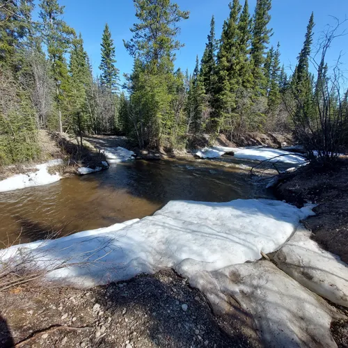 MOOSE CREEK LODGE - Campground Reviews (Mayo, Yukon)