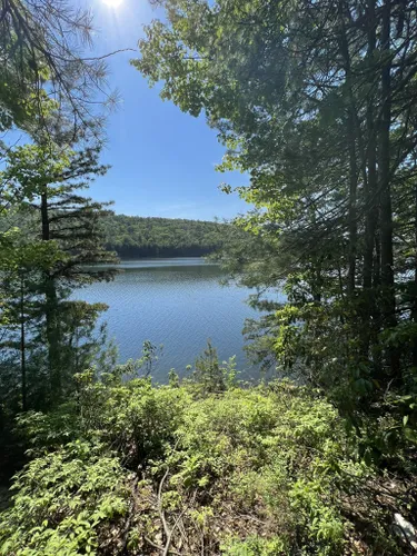 10 Best Hikes and Trails in Michaux State Forest | AllTrails