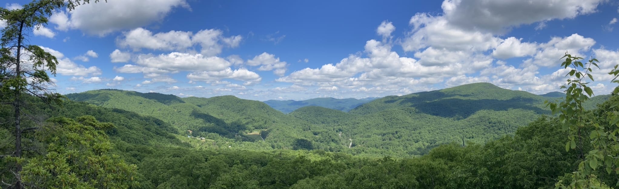 Wildcat Rock via Wildcat Rock Trail North Carolina AllTrails
